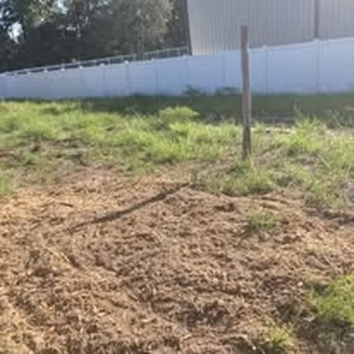 Area after stump grinding beside fence