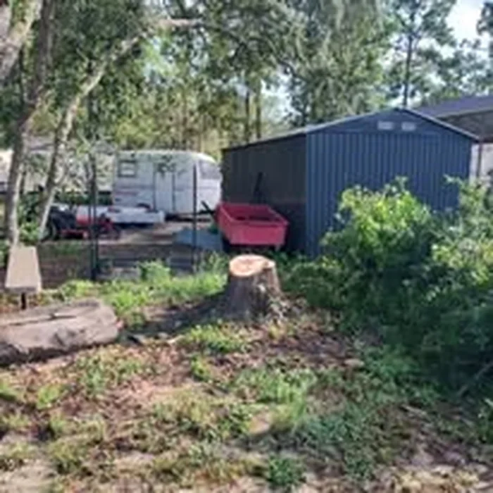 Tree and yard work