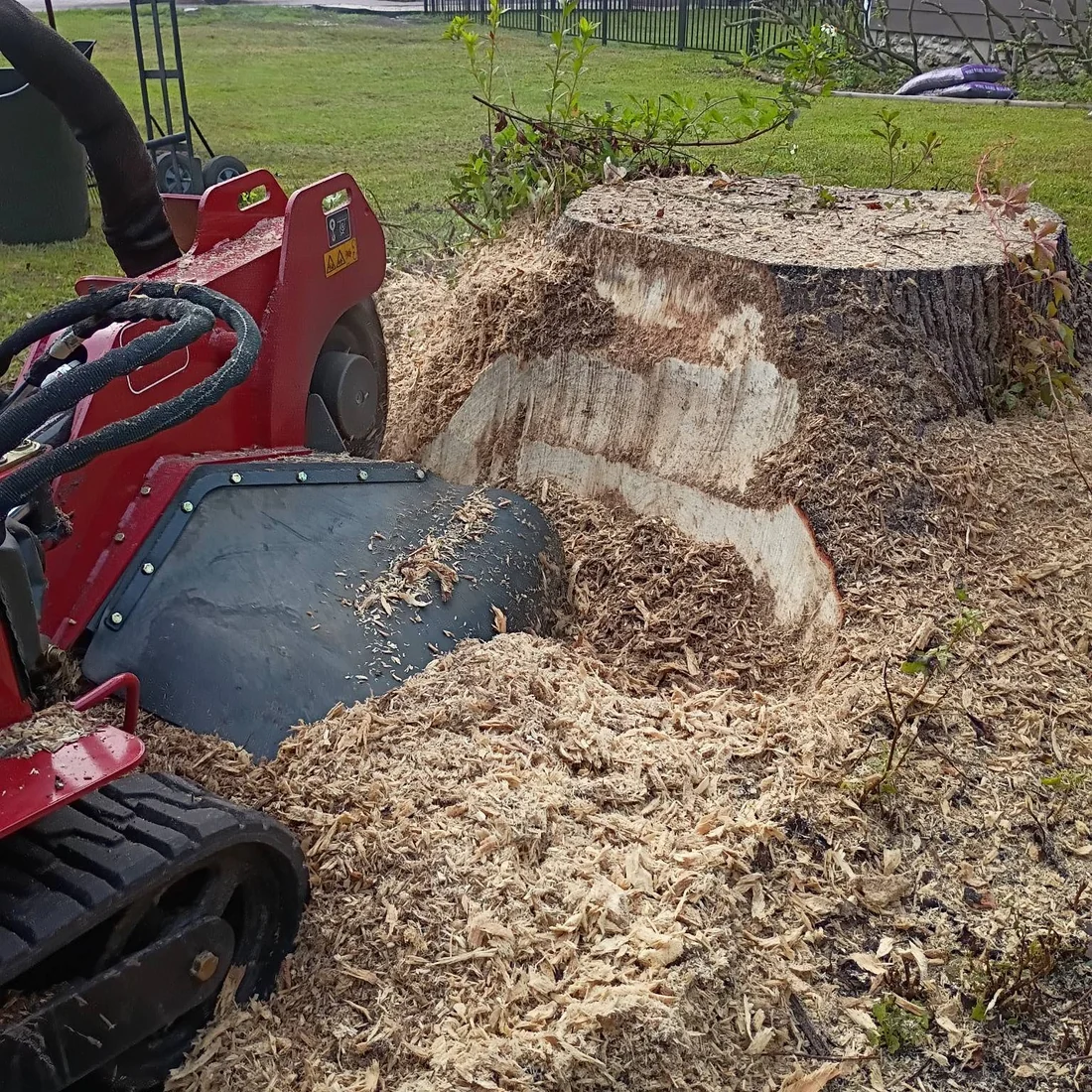 Stump grinding in progress